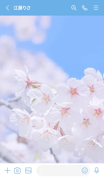 [LINE着せ替え] SakuraPhoto 81 Not AIの画像2