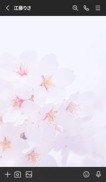 [LINE着せ替え] SakuraPhoto 82 Not AIの画像2