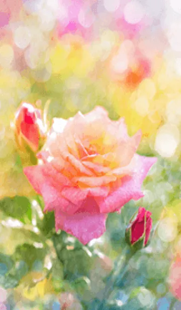 [LINE着せ替え] 薔薇(バラ)の花の着せかえ(R2897)の画像1