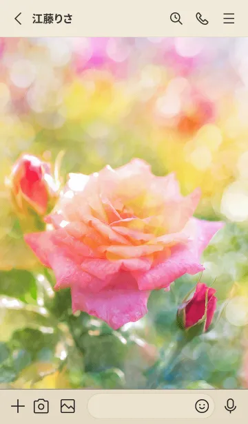 [LINE着せ替え] 薔薇(バラ)の花の着せかえ(R2897)の画像2