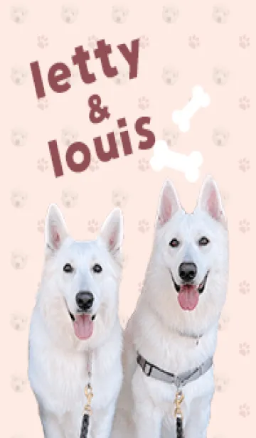 [LINE着せ替え] 白犬親子さんの画像1