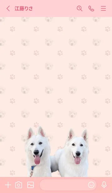 [LINE着せ替え] 白犬親子さんの画像2