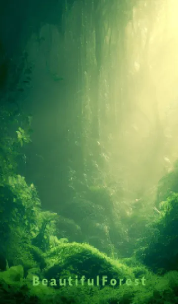 [LINE着せ替え] Beautiful Forest-HEALING- 10の画像1