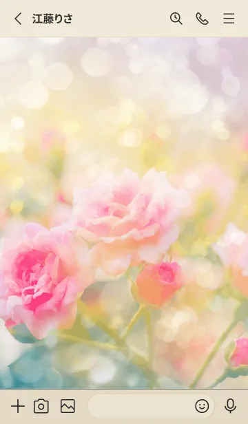 [LINE着せ替え] 薔薇(バラ)の花の着せかえ(R2910)の画像2