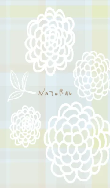 [LINE着せ替え] 白い線の丸い花と葉4の画像1