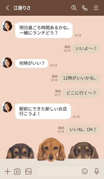 [LINE着せ替え] ダックスフンド L - シェルピンクの画像3