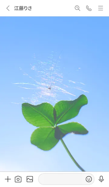 [LINE着せ替え] ケサランパサラン & Lucky clover #1-3の画像2