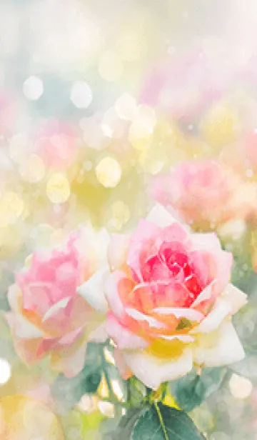 [LINE着せ替え] 薔薇(バラ)の花の着せかえ(R2924)の画像1