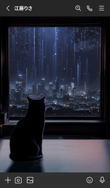 [LINE着せ替え] 窓辺の景色を眺める猫 2(雨夜)の画像2