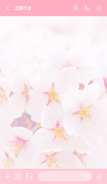 [LINE着せ替え] SakuraPhoto 93 Not AIの画像2