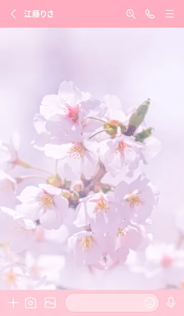 [LINE着せ替え] SakuraPhoto 96 Not AIの画像2