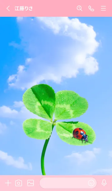 [LINE着せ替え] 本物ラッキークローバー & Ladybird #1-22の画像2