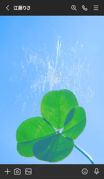 [LINE着せ替え] ケサランパサラン & Lucky clover #2-3の画像2