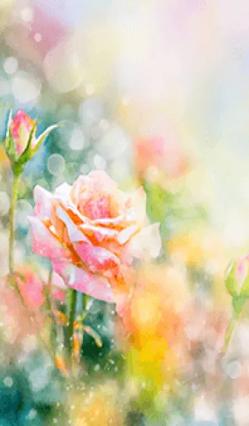 [LINE着せ替え] 薔薇(バラ)の花の着せかえ(R2927)の画像1