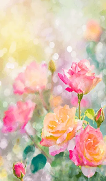 [LINE着せ替え] 薔薇(バラ)の花の着せかえ(R2937)の画像1