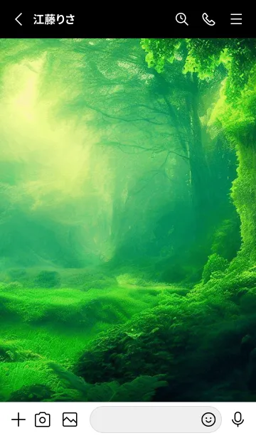 [LINE着せ替え] Beautiful Forest-NATURE- 10の画像2