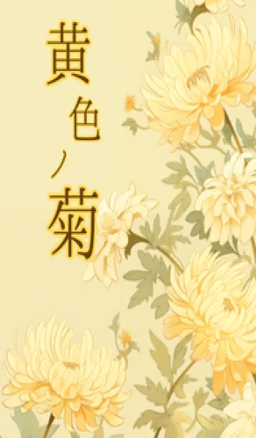 [LINE着せ替え] 黄色の菊の画像1