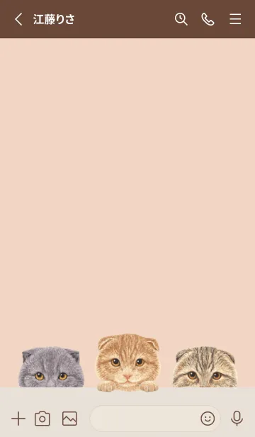 [LINE着せ替え] 猫 - スコティッシュ - シェルピンクの画像2