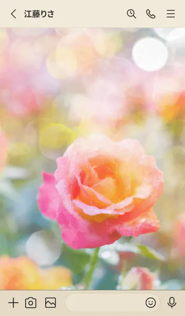 [LINE着せ替え] 薔薇(バラ)の花の着せかえ(R2959)の画像2