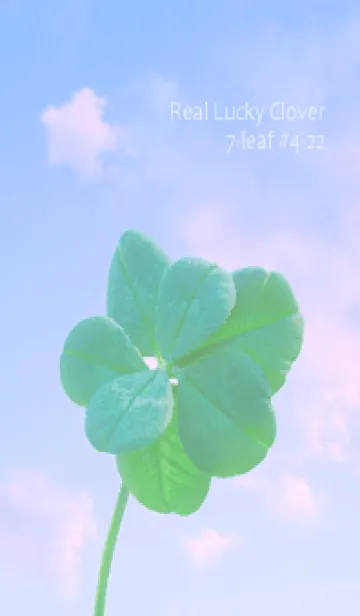 [LINE着せ替え] 本物ラッキークローバー 7-leaf #4-22の画像1