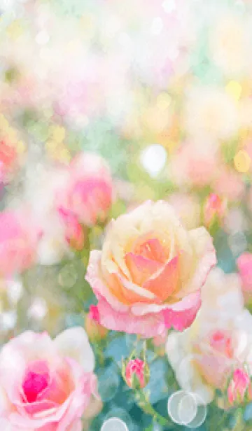 [LINE着せ替え] 薔薇(バラ)の花の着せかえ(R2967)の画像1