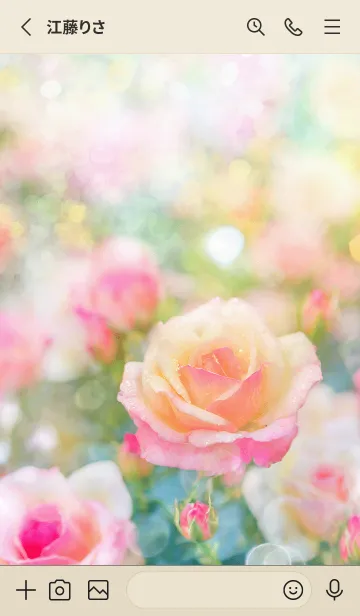 [LINE着せ替え] 薔薇(バラ)の花の着せかえ(R2967)の画像2