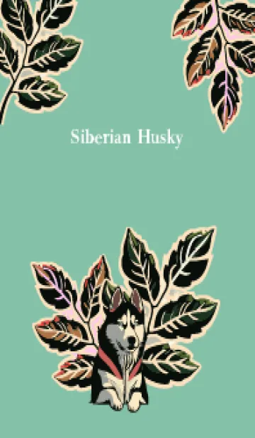 [LINE着せ替え] blue green 植物とシベリアンハスキーの画像1