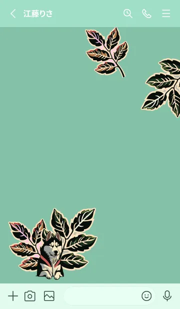 [LINE着せ替え] blue green 植物とシベリアンハスキーの画像2