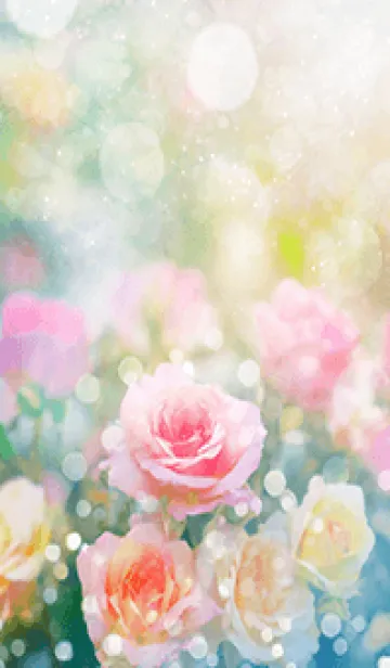 [LINE着せ替え] 薔薇(バラ)の花の着せかえ(R2978)の画像1