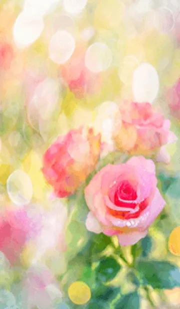 [LINE着せ替え] 薔薇(バラ)の花の着せかえ(R2981)の画像1