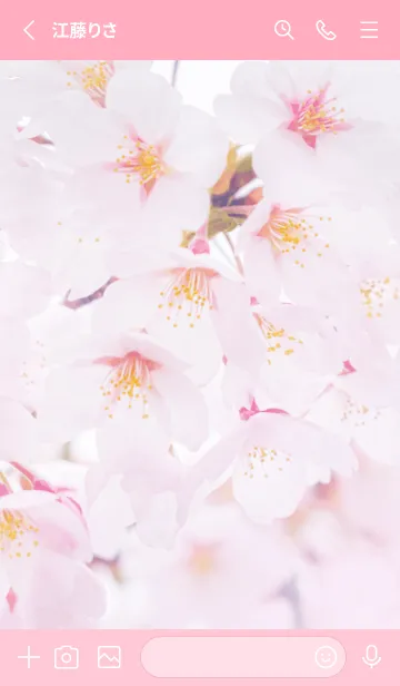 [LINE着せ替え] SakuraPhoto 104 Not AIの画像2