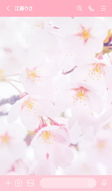 [LINE着せ替え] SakuraPhoto 105 Not AIの画像2