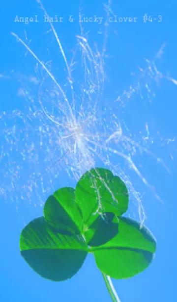 [LINE着せ替え] ケサランパサラン & Lucky clover #4-3の画像1