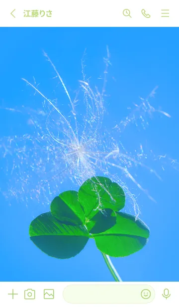 [LINE着せ替え] ケサランパサラン & Lucky clover #4-3の画像2