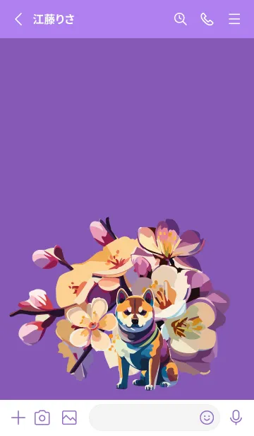 [LINE着せ替え] 桜と柴犬 紫色の画像2