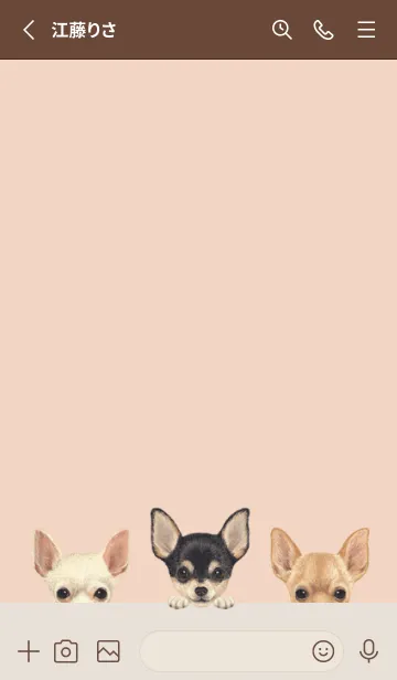 [LINE着せ替え] ワンワン！- チワワ - シェルピンクの画像2