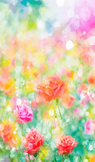 [LINE着せ替え] 薔薇(バラ)の花の着せかえ(R3013)の画像1