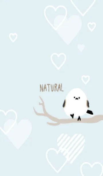 [LINE着せ替え] シマエナガ ハート16の画像1