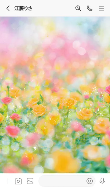 [LINE着せ替え] 薔薇(バラ)の花の着せかえ(R3024)の画像2