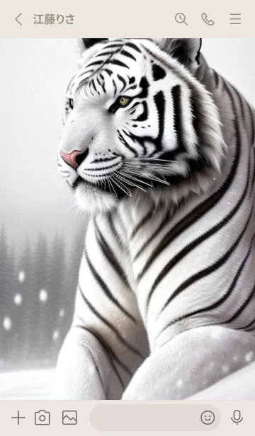 [LINE着せ替え] 虎，雪地の主 RcAsの画像2