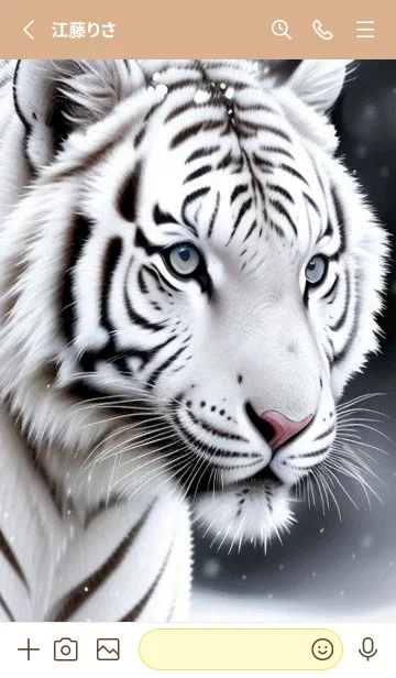 [LINE着せ替え] 虎，雪地の主 gLtgの画像2