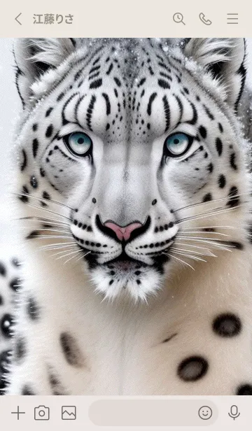 [LINE着せ替え] 夢幻の白いスノーヒョウ EUtfの画像2