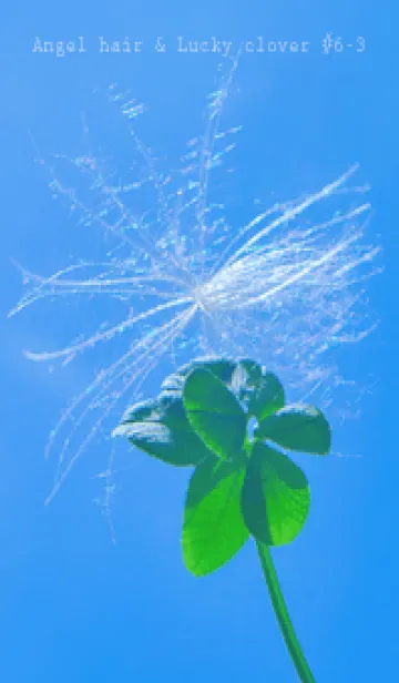 [LINE着せ替え] ケサランパサラン & Lucky clover #6-3の画像1