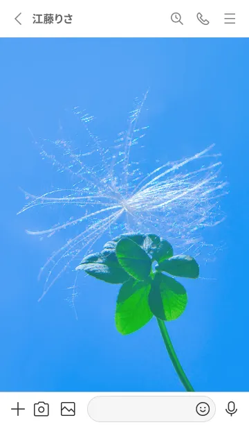 [LINE着せ替え] ケサランパサラン & Lucky clover #6-3の画像2