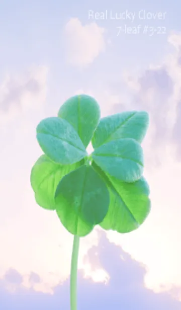 [LINE着せ替え] 本物ラッキークローバー7-leaf #3-22の画像1
