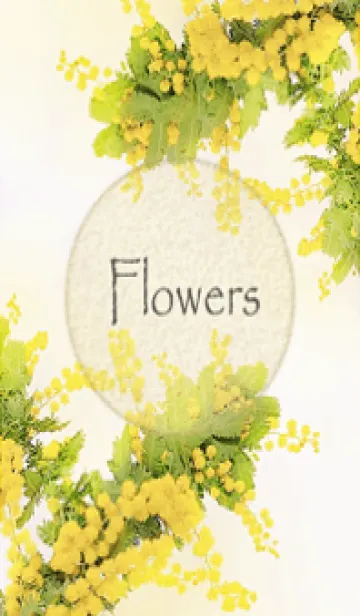 優しさに包まれるミモザの花・4の着せ替えメイン画像