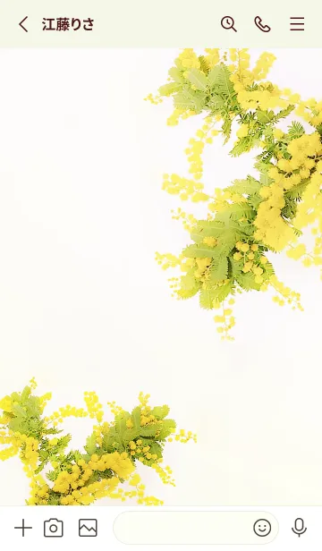 [LINE着せ替え] 優しさに包まれるミモザの花・4の画像2