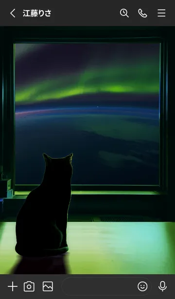 [LINE着せ替え] 窓辺の景色を眺める猫 5 オーロラの画像2