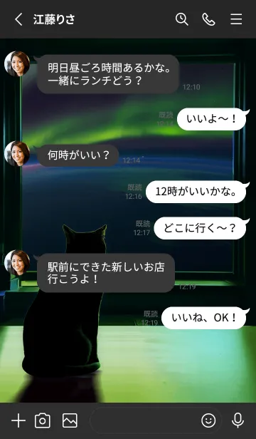 [LINE着せ替え] 窓辺の景色を眺める猫 5 オーロラの画像3