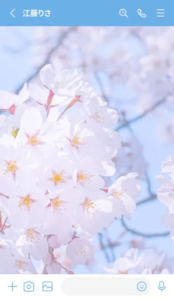 [LINE着せ替え] SakuraPhoto 124 Not AIの画像2